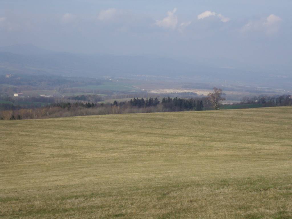 Zdjęcie 5