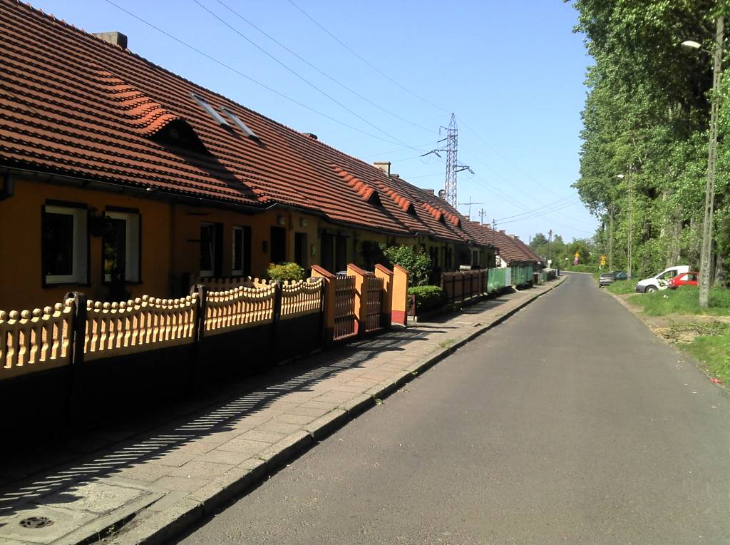 Zdjęcie 3