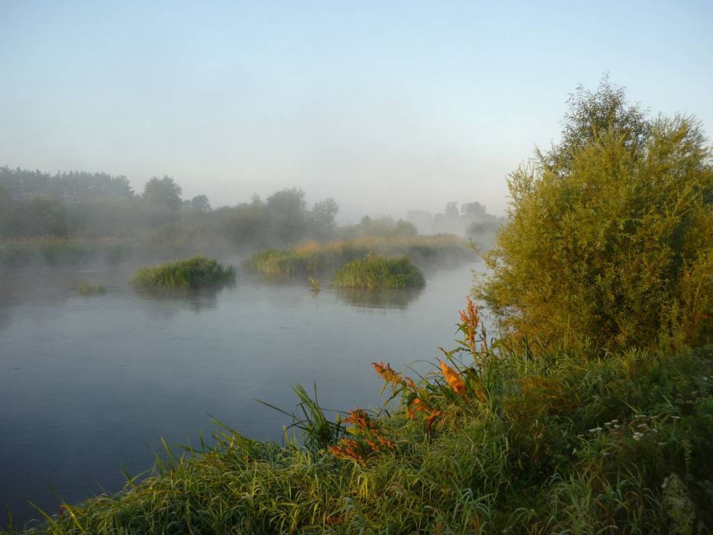 Zdjęcie 6