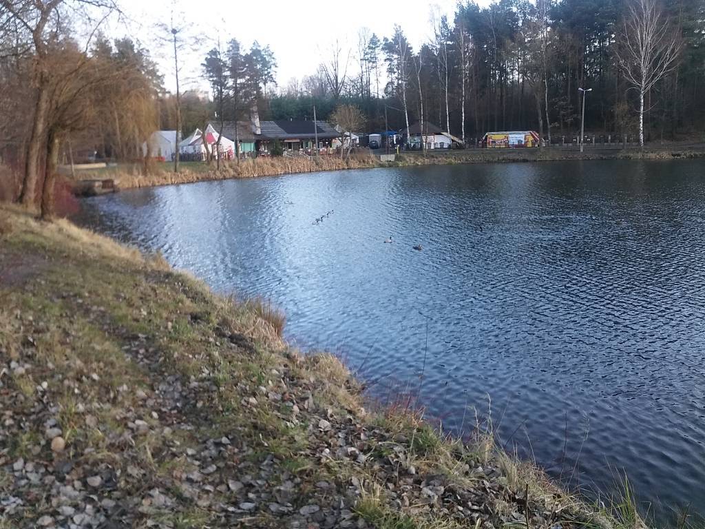 Zdjęcie 4