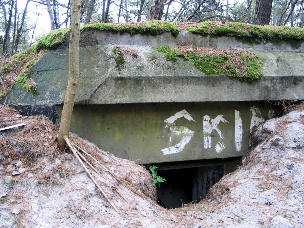 Zdjęcie 4