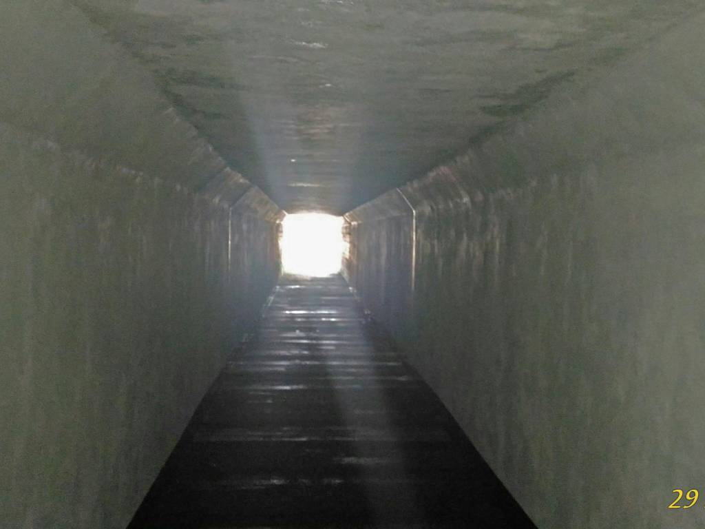 Zdjęcie 2