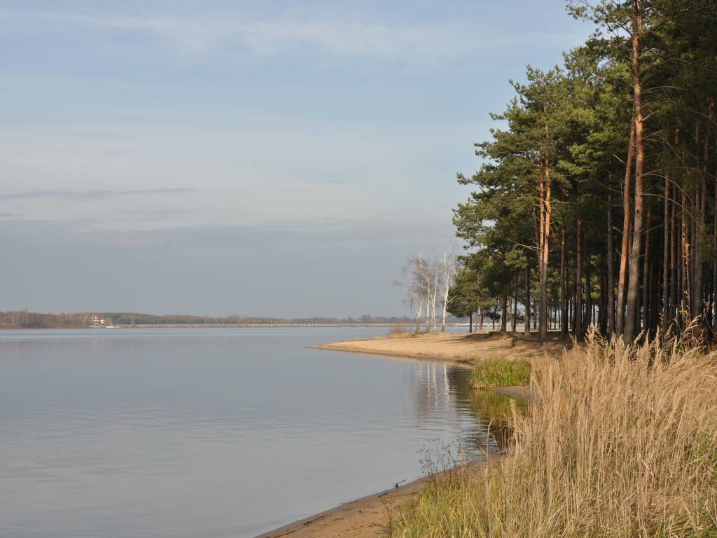 Zdjęcie 5