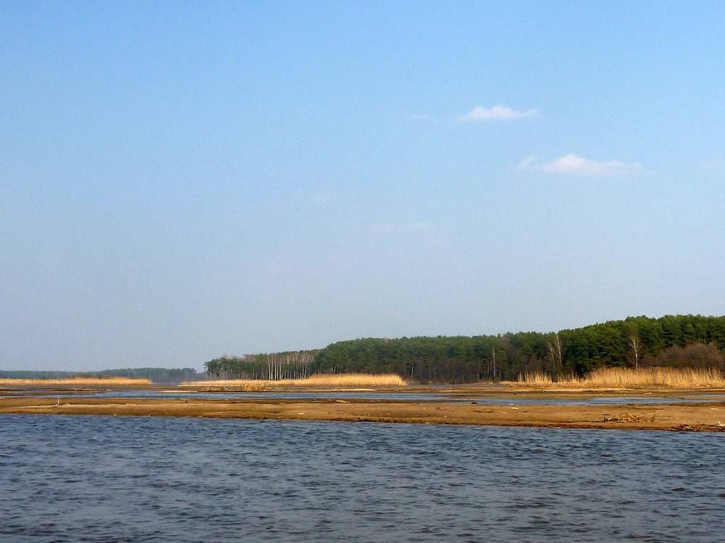Zdjęcie 6