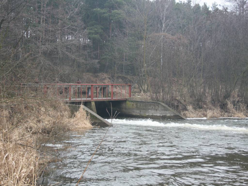 Zdjęcie 3
