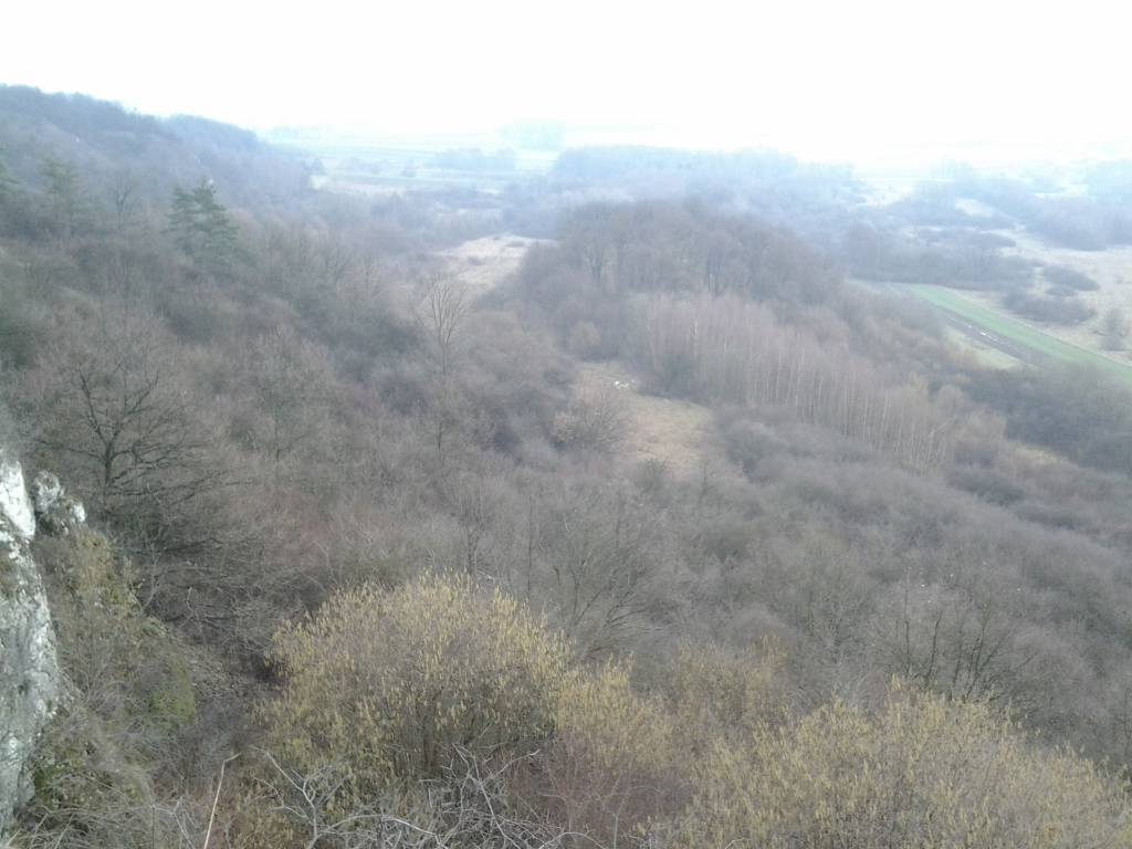 Zdjęcie 3