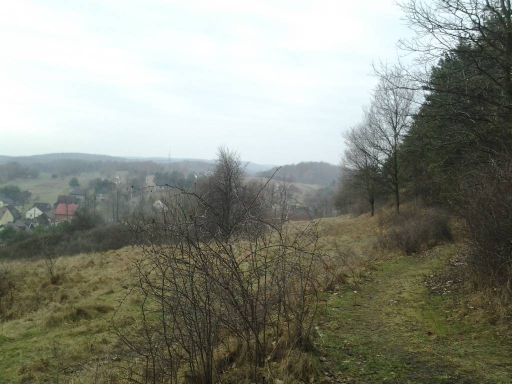 Zdjęcie 5