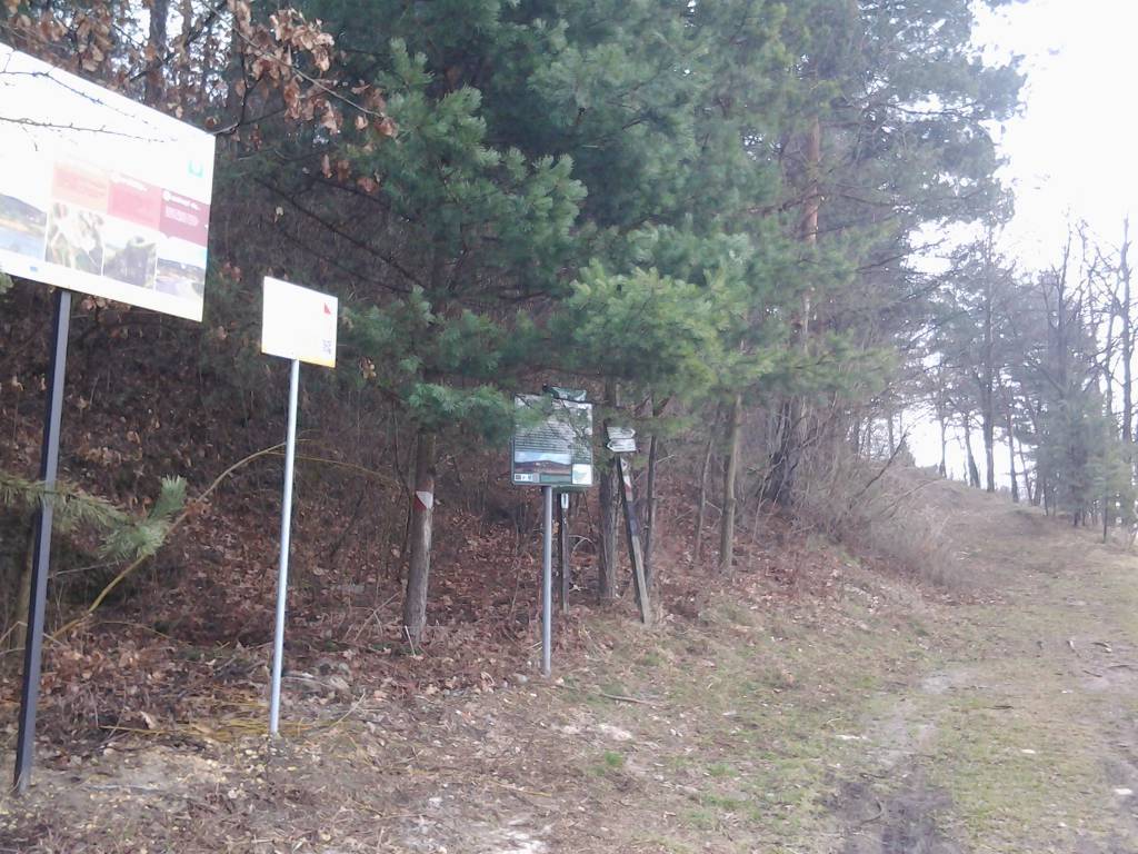 Zdjęcie 6