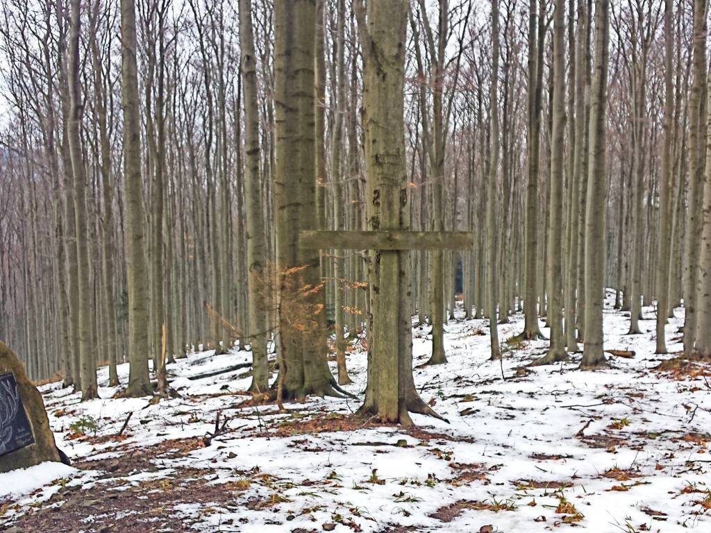 Zdjęcie 3