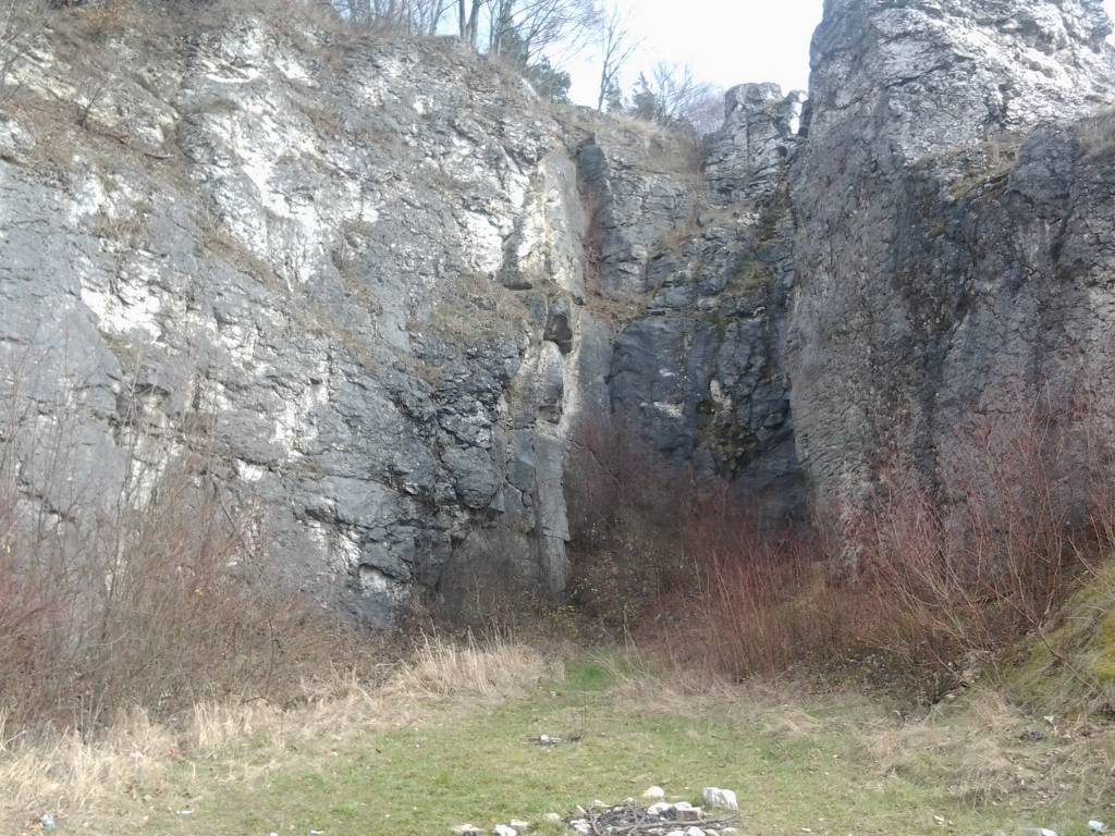 Zdjęcie 6