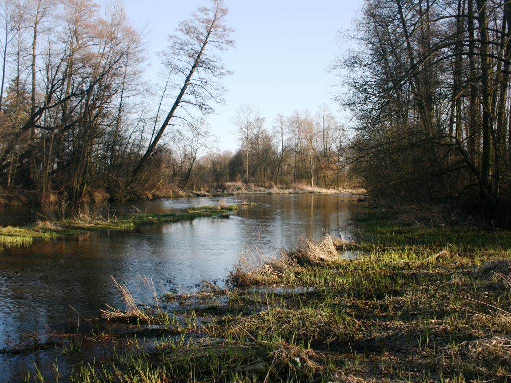 Zdjęcie 6