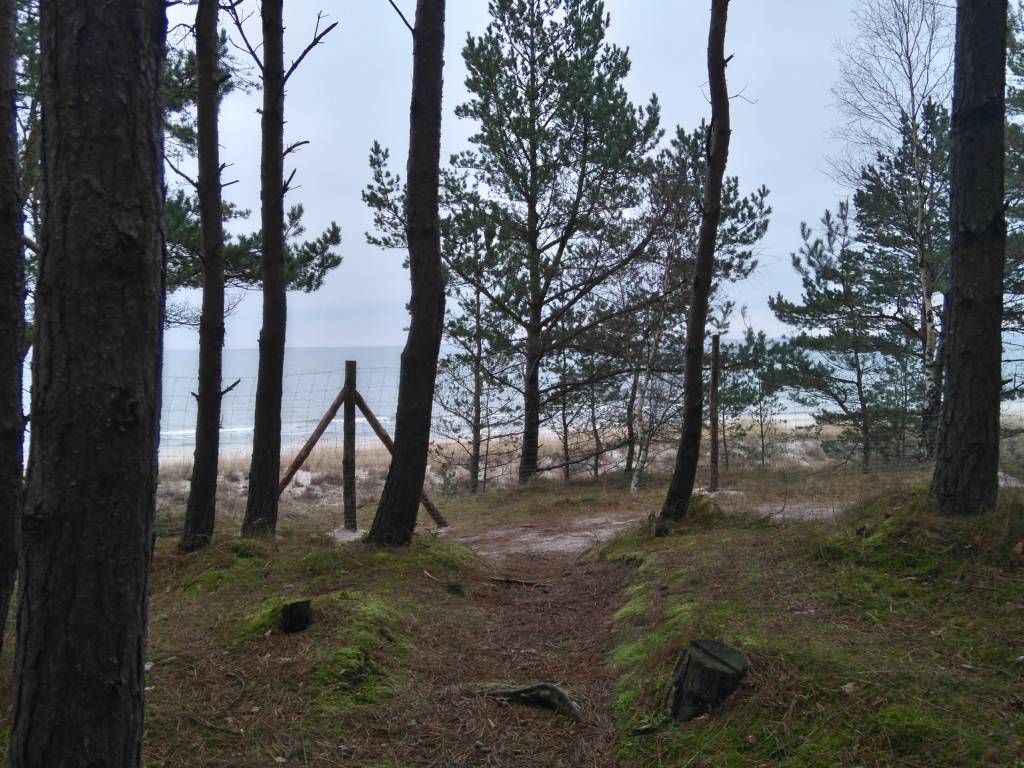 Zdjęcie 5