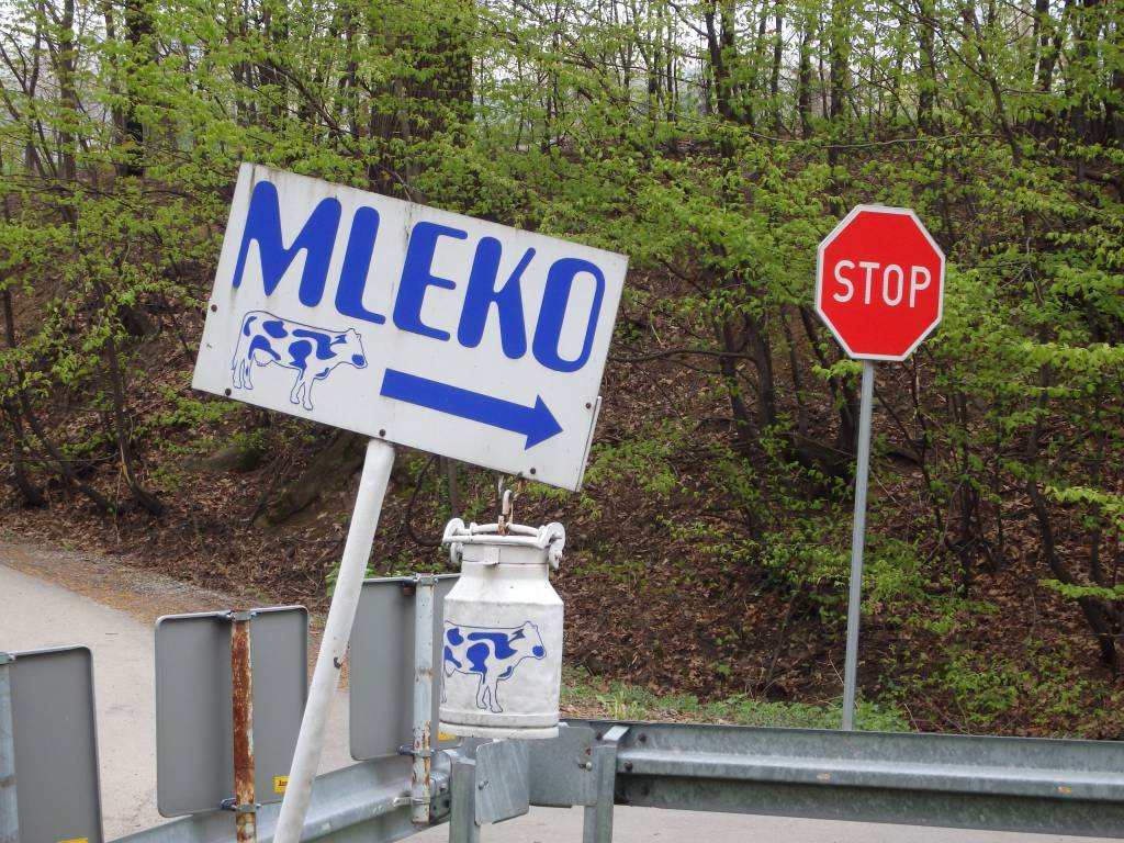 Zdjęcie 6