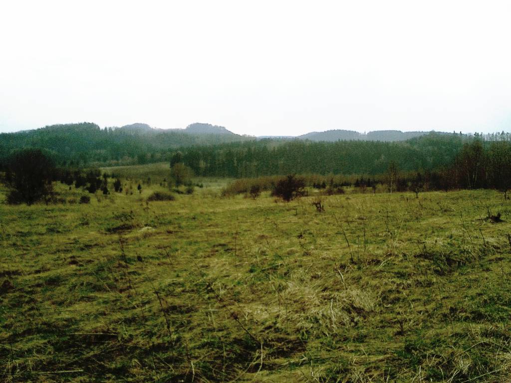 Zdjęcie 5