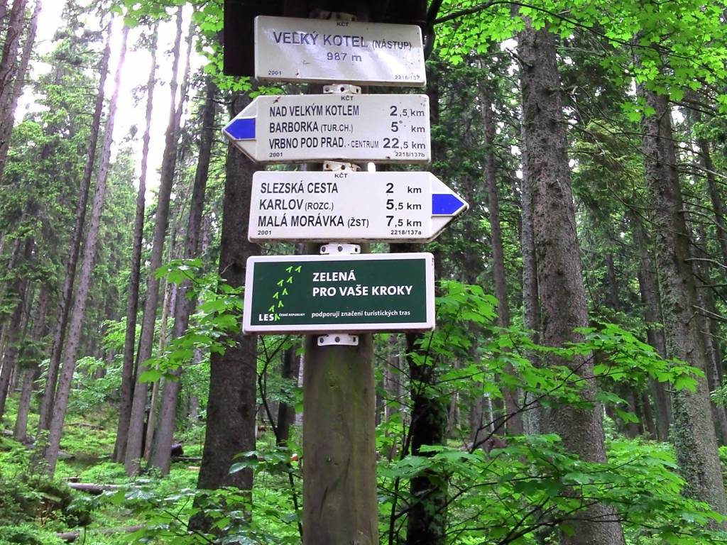 Zdjęcie 6