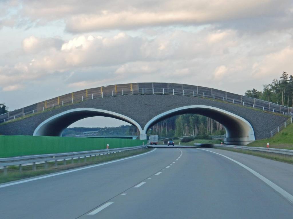 Zdjęcie 5