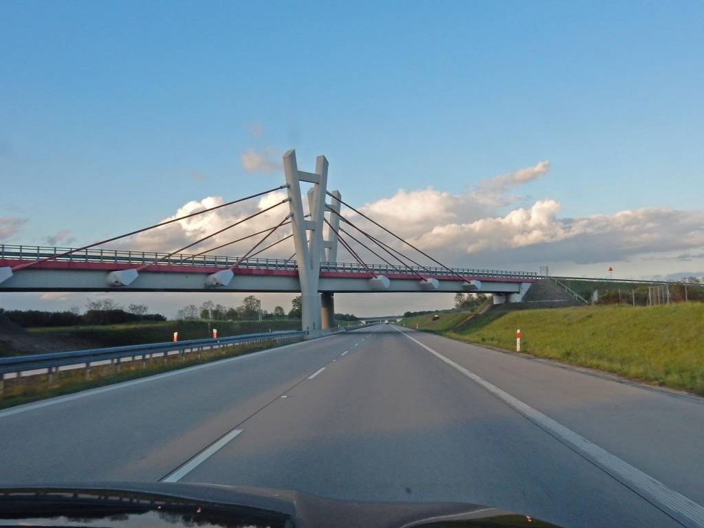 Zdjęcie 6