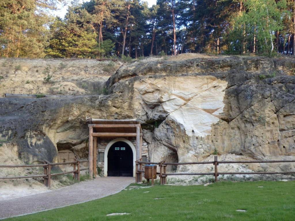 Zdjęcie 6