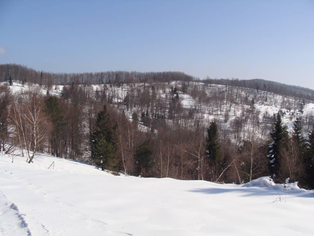 Zdjęcie 6