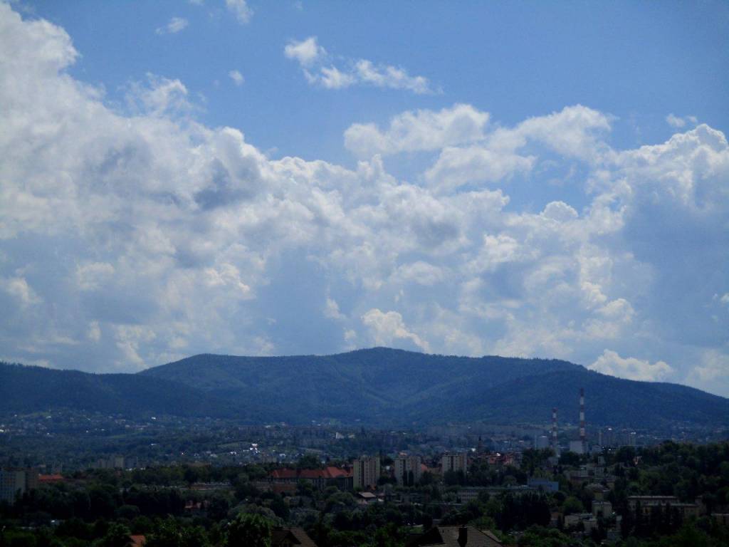 Zdjęcie 6
