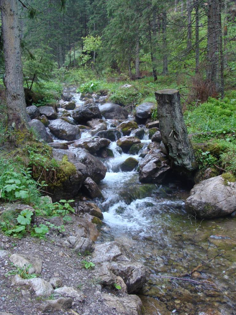 Zdjęcie 2