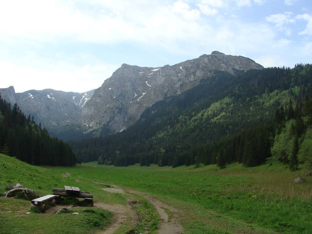Zdjęcie 5