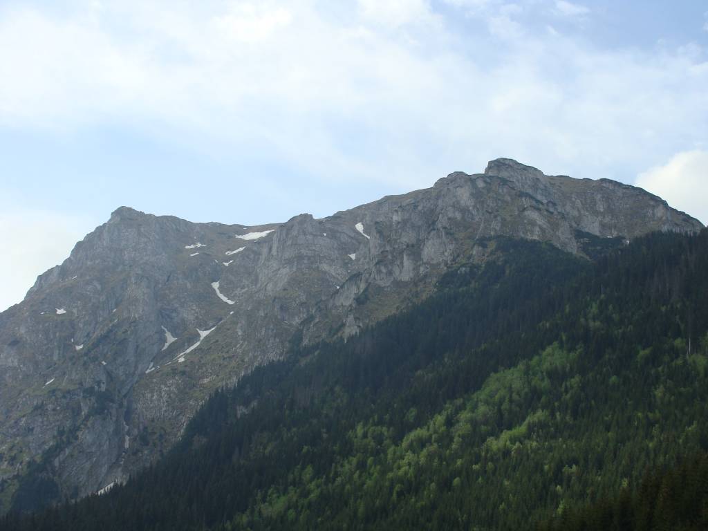 Zdjęcie 6