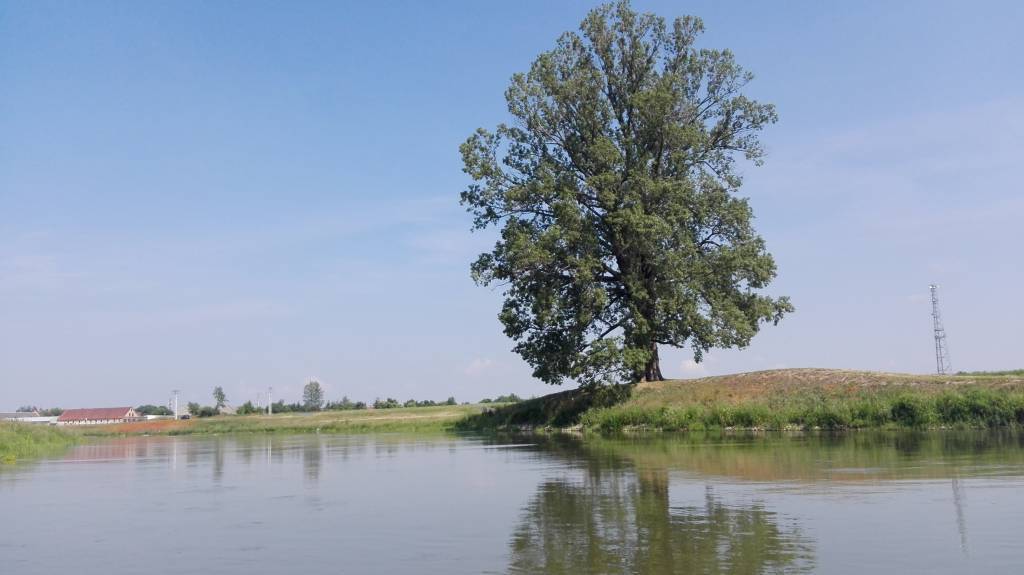 Zdjęcie 6