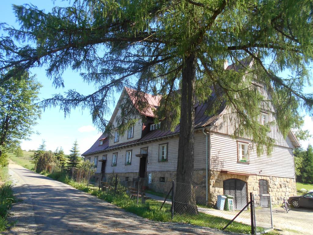 Zdjęcie 2