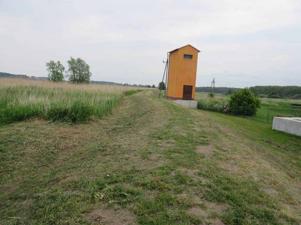 Zdjęcie 6