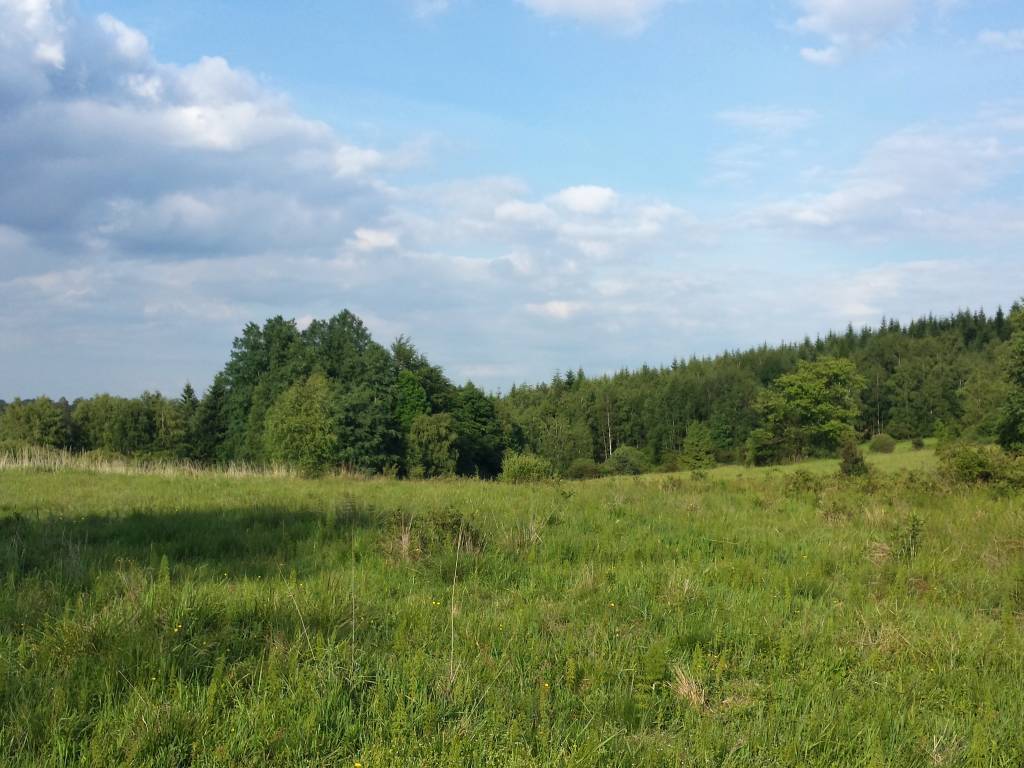 Zdjęcie 2