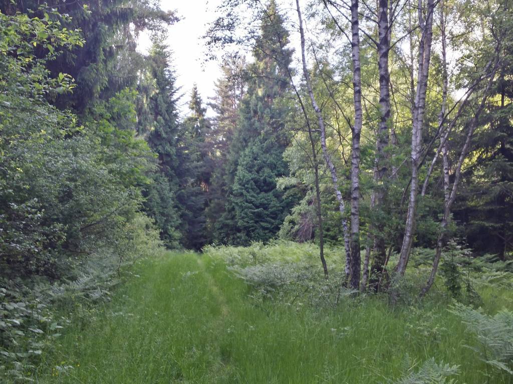 Zdjęcie 6