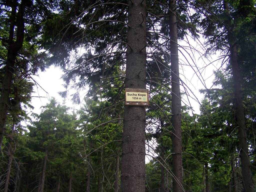 Zdjęcie 3