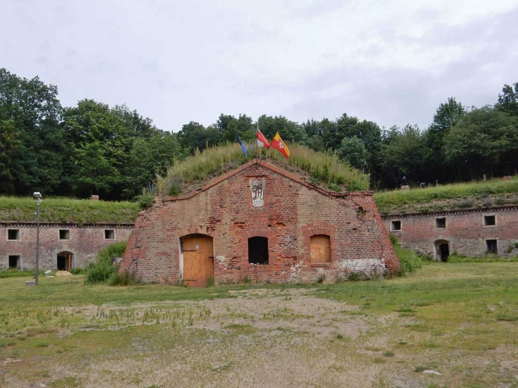 Zdjęcie 6