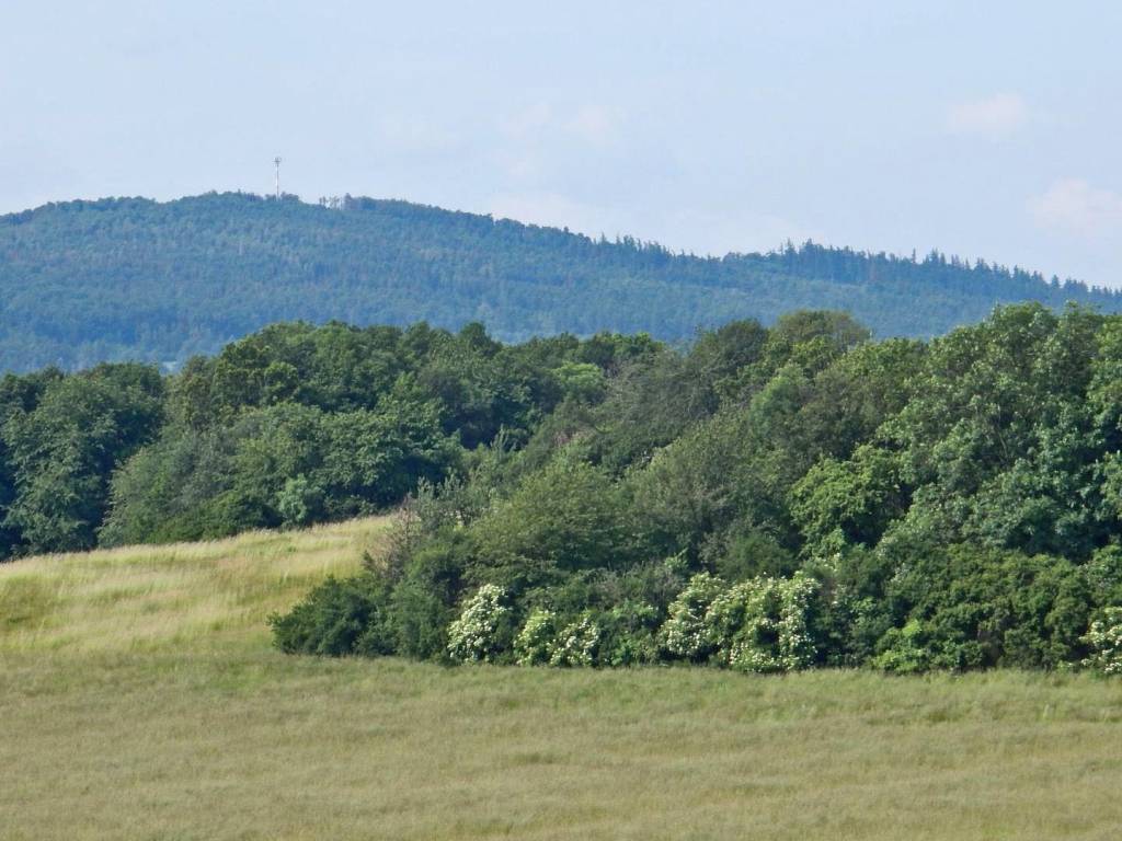 Zdjęcie 5