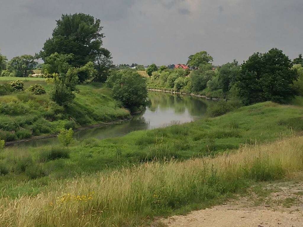 Zdjęcie 6