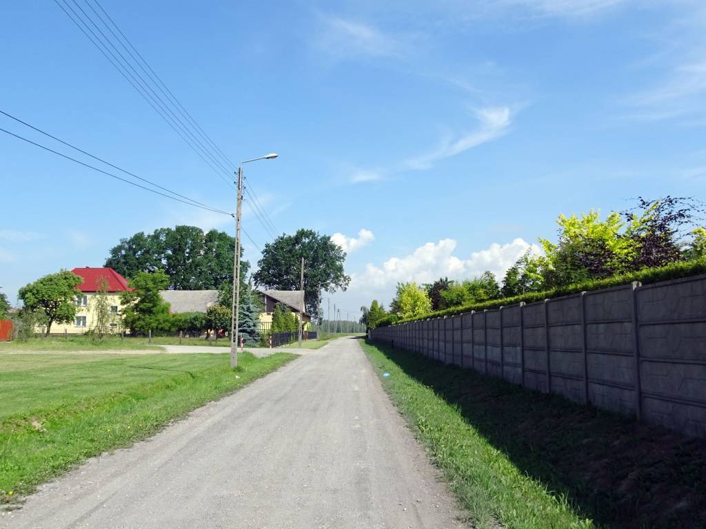 Zdjęcie 5