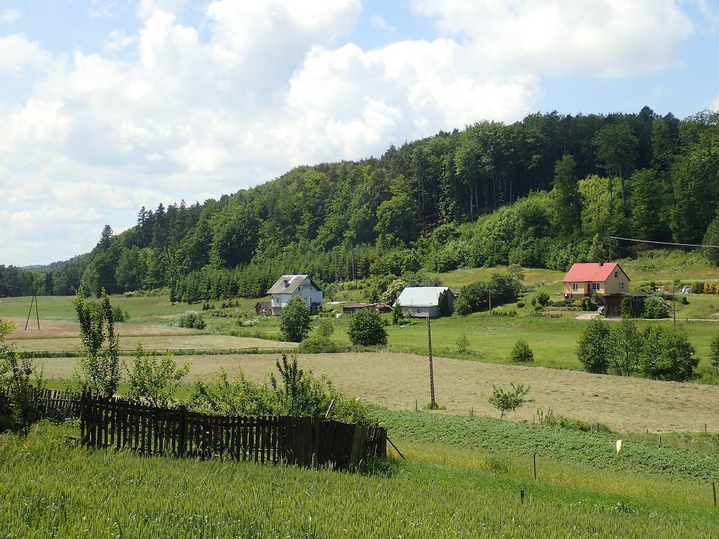 Zdjęcie 4