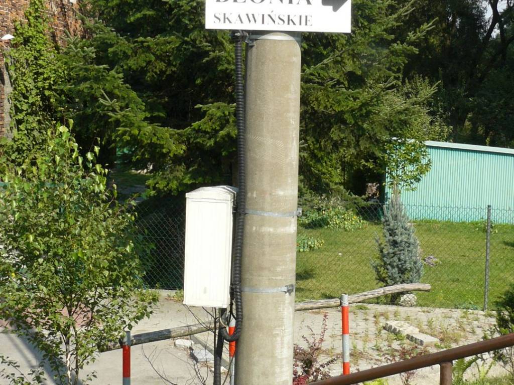 Zdjęcie 2