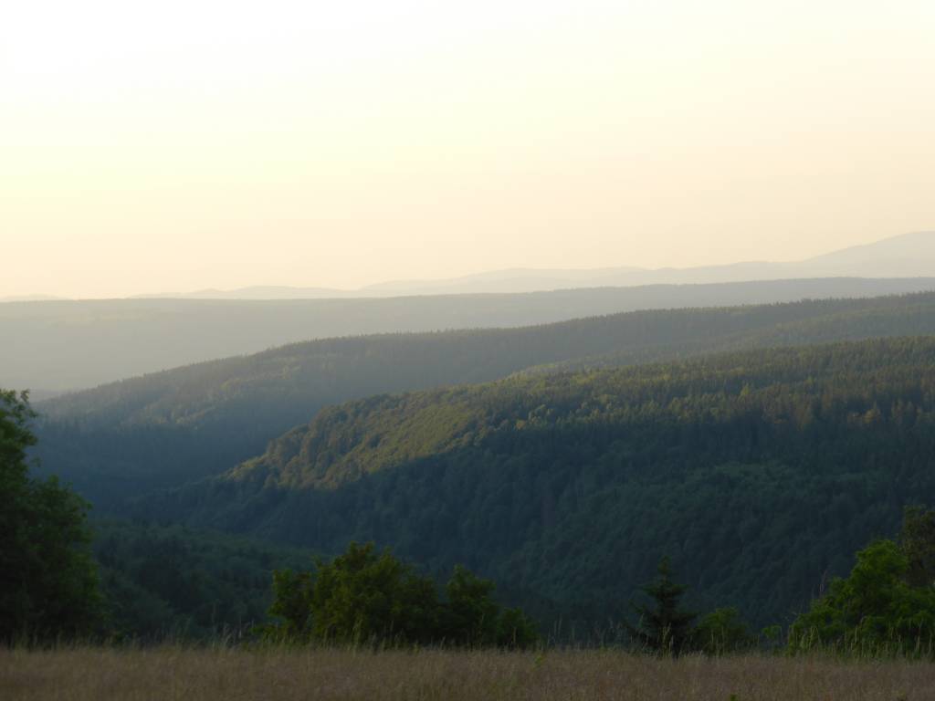 Zdjęcie 3