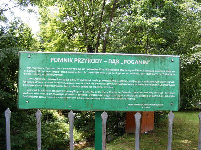 Zdjęcie 6