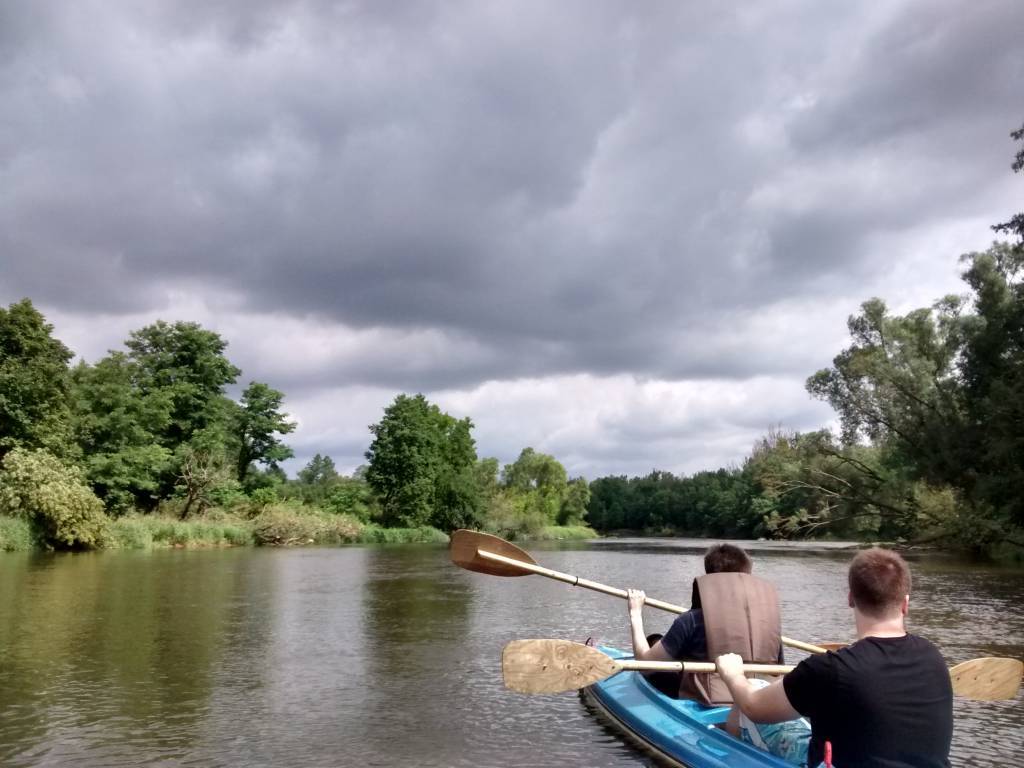 Zdjęcie 6