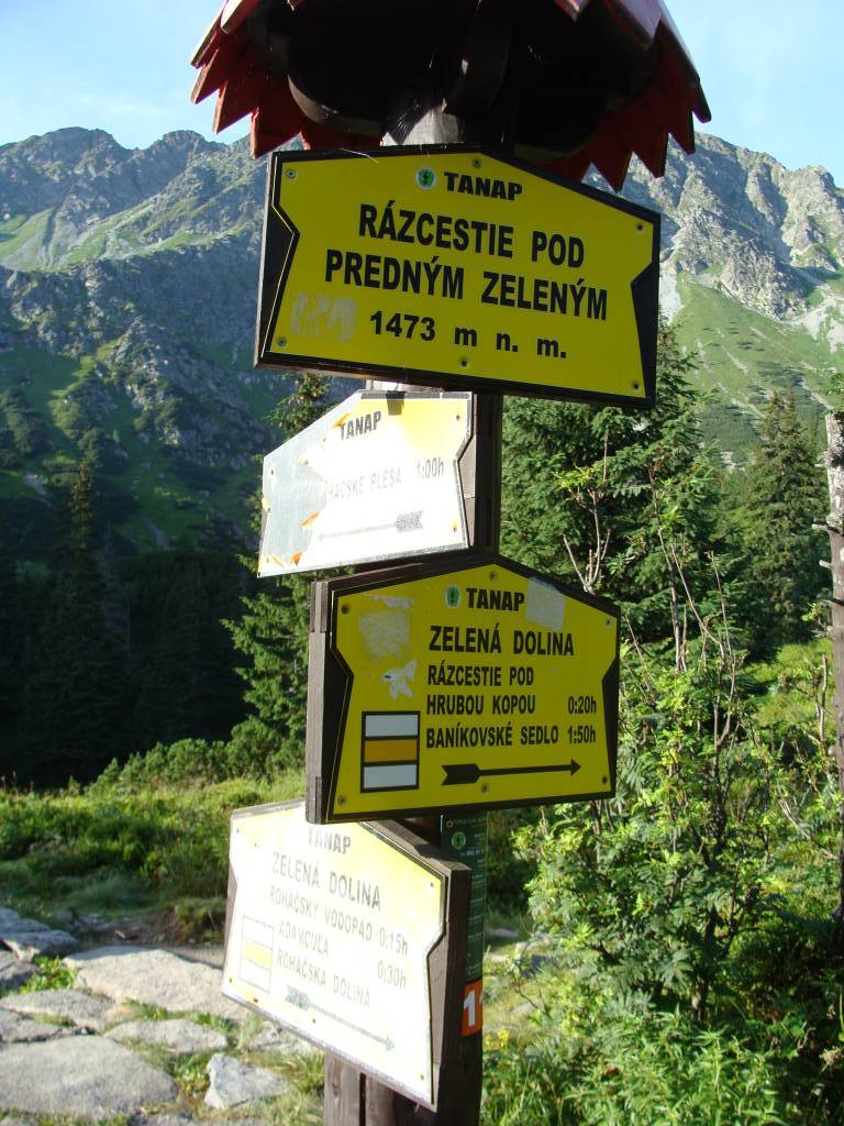 Zdjęcie 6