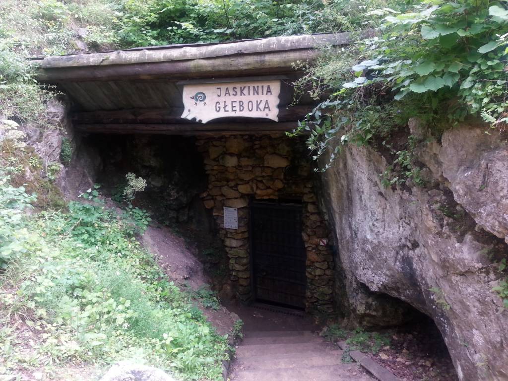 Zdjęcie 5