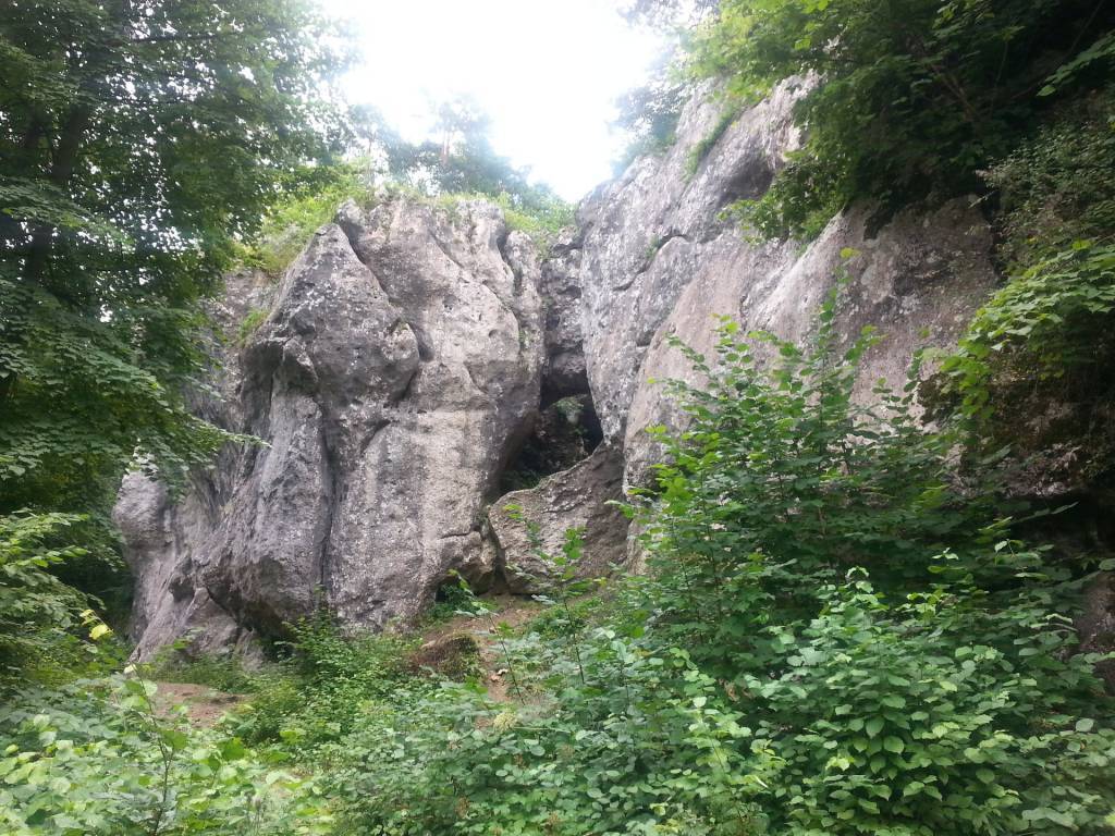 Zdjęcie 6