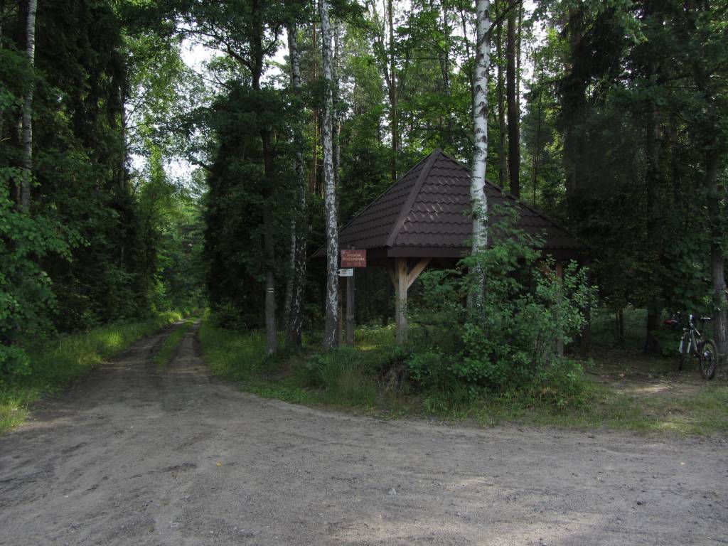 Zdjęcie 6