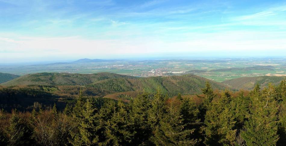 Zdjęcie 5