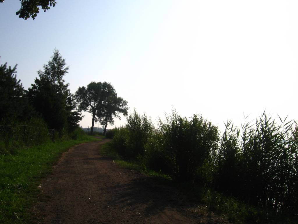 Zdjęcie 5