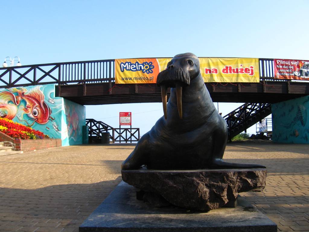 Zdjęcie 6