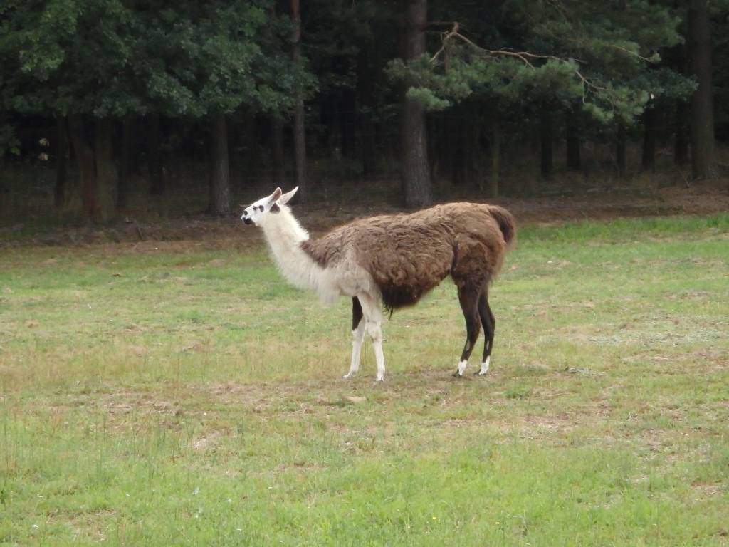 Zdjęcie 6